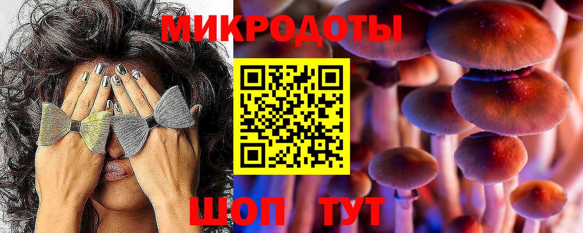 Псилоцибиновые грибы Magic Shrooms  Вход с VPN  Горно-Алтайск 