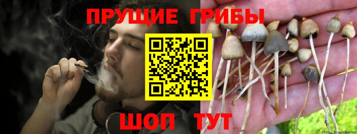Галлюциногенные грибы мухоморы Горно-Алтайск